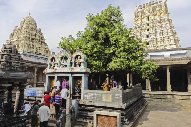 Ekambareswarar temple